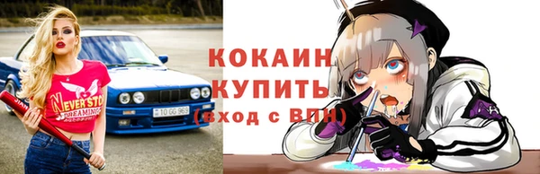 соль ск Гусев