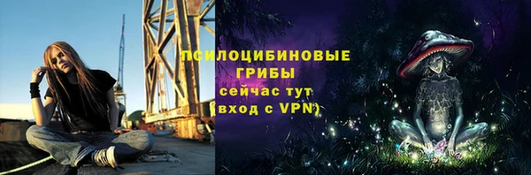 дмт Гусиноозёрск
